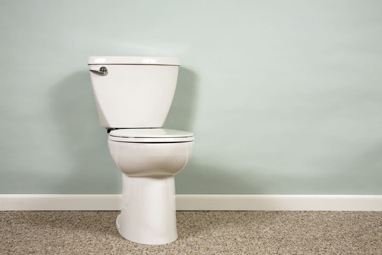 White Ceramic Toilet