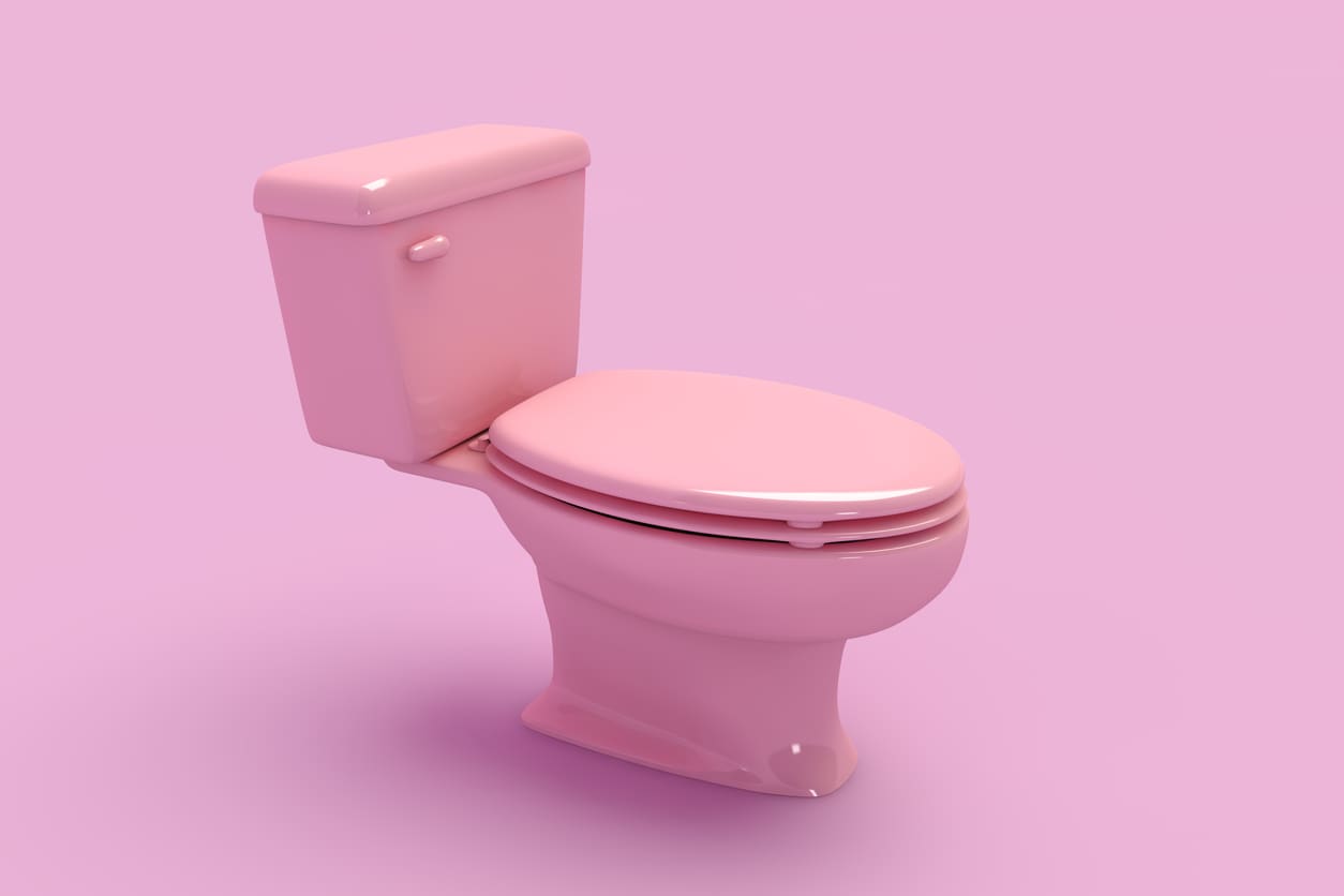 Pink Ceramic Toilet