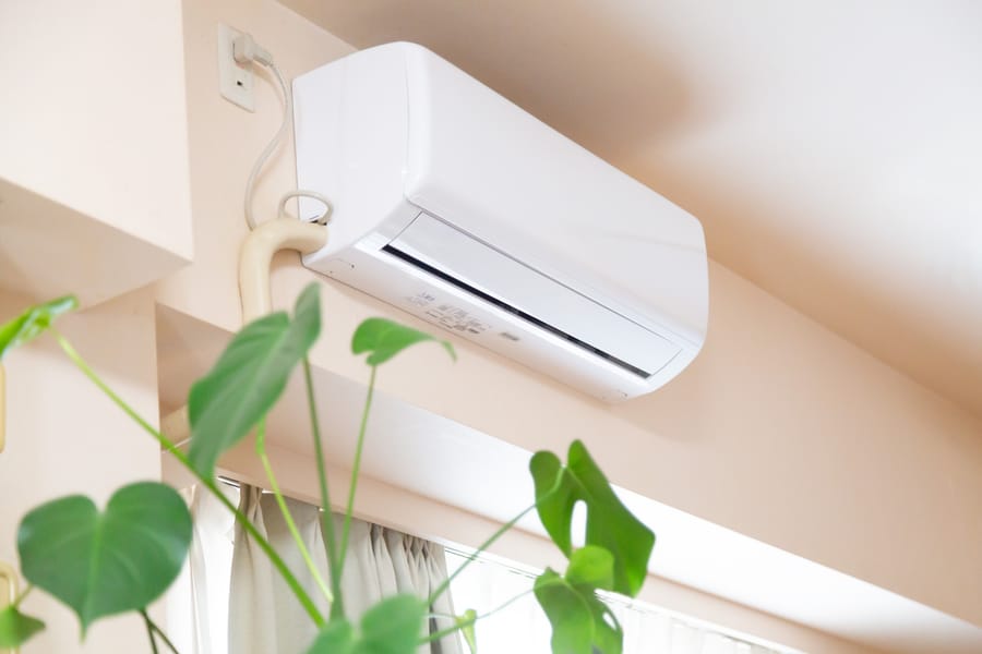 Ductless mini-split AC unit on wall with green plant